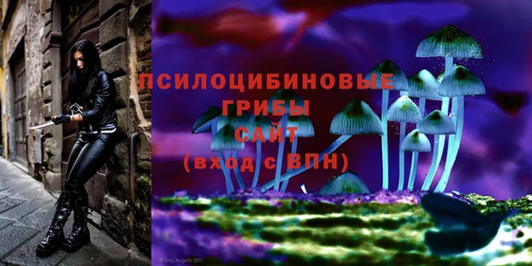 гидропоника Алзамай