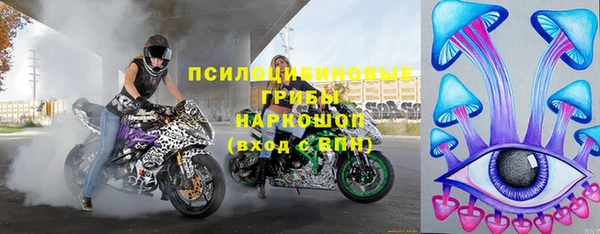 герыч Алексин