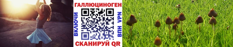 Псилоцибиновые грибы ЛСД  Орехово-Зуево 
